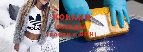 гашик Козельск