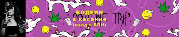 гашик Козельск