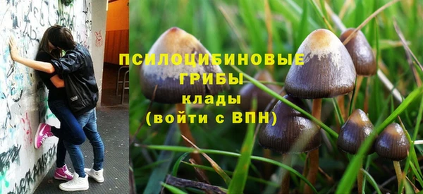 шишки Киренск