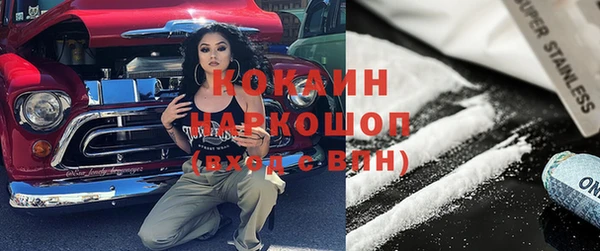 гашик Козельск