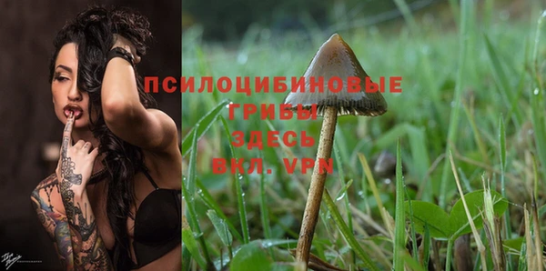 ешки Кодинск