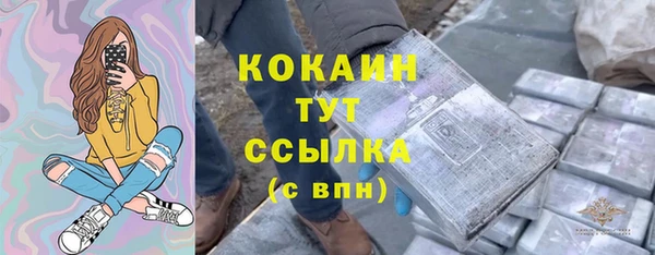 гашик Козельск