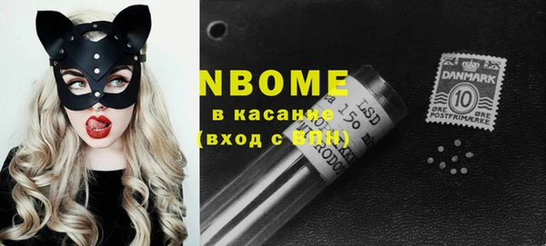 гашик Козельск