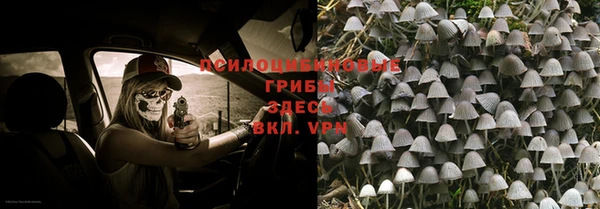 гашик Козельск