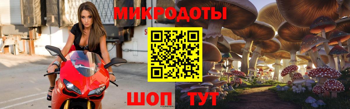 Псилоцибиновые грибы Cubensis Михайловка