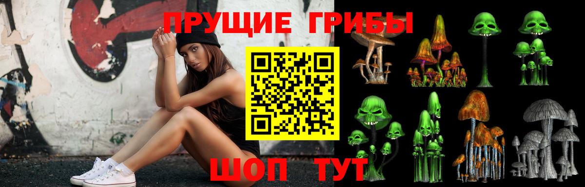 Галлюциногенные грибы ЛСД  Вход с VPN  Галлюциногенные грибы прущие грибы  Михайловка 